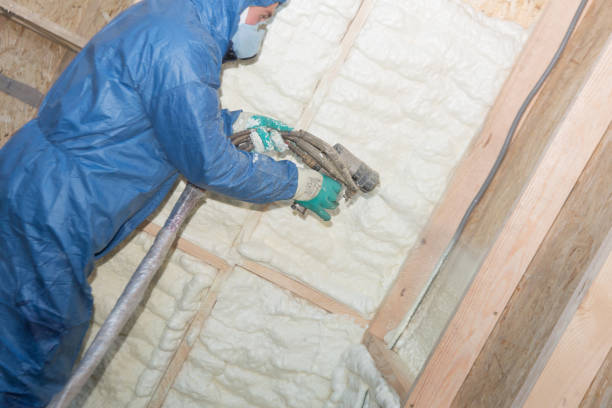 Eco-Friendly or Green Insulation Solutions in Congress, AZ